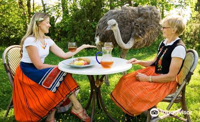 Muhu Ostrich Farm