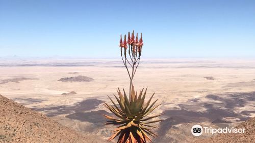 Brandberg Mountain