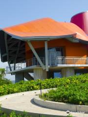 BioMuseo