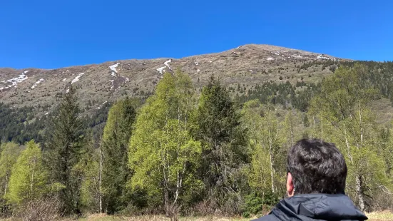 Alaska ATV Adventures