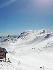 Station de Ski Sancy