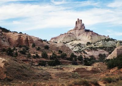 Gallup