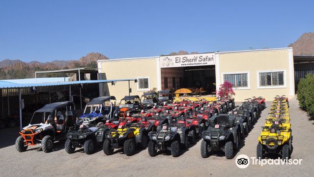 El Sherif Safari