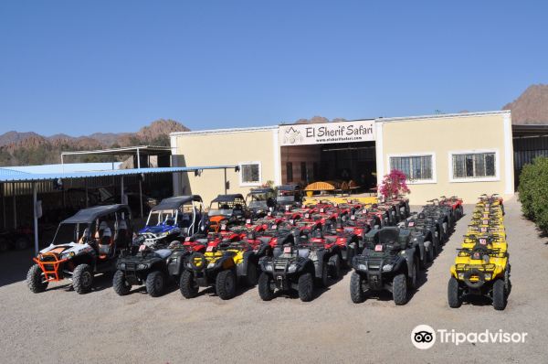 El Sherif Safari