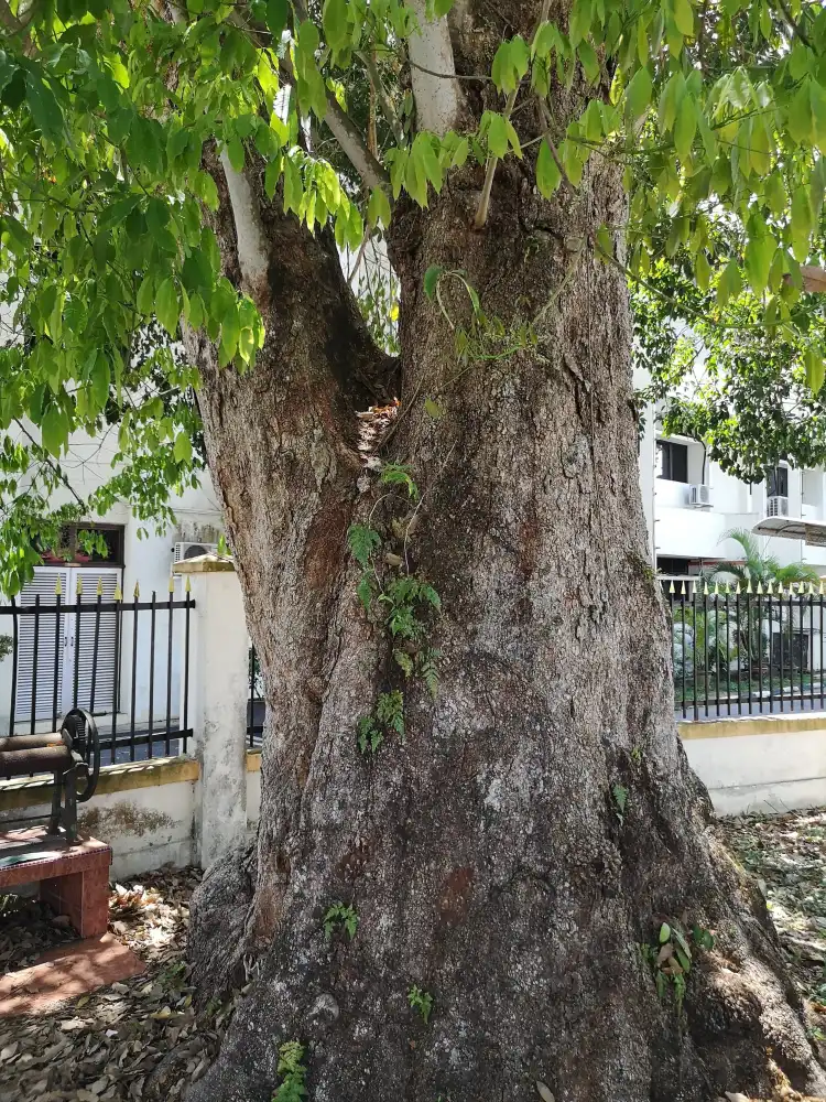 Kota Lama Kiri