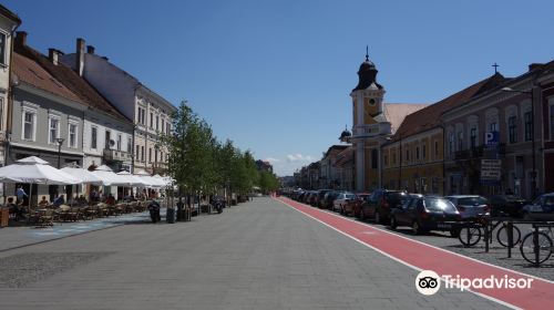 Avenue of Heroes in Cluj-Napoca (B-dul Eroilor)