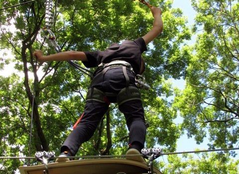 Angiens Tree Adventures