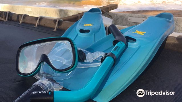 Snorkel Bob's Honokowai