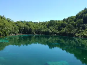 Riserva Naturale Regionale Lago di Cornino