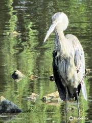 Springfield Botanical Gardens at Nathanael Greene/Close Memorial Park