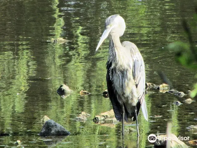 Springfield Botanical Gardens at Nathanael Greene/Close Memorial Park