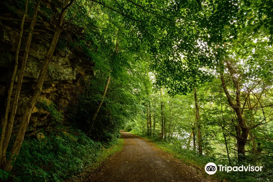 Greenbrier River Trail