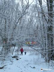 Webster Conservation Area