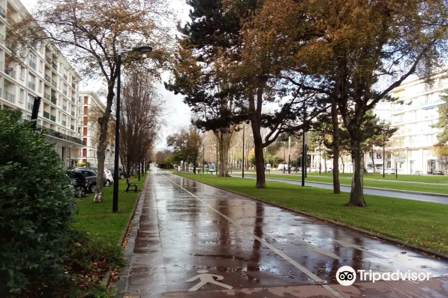 Avenue Foch