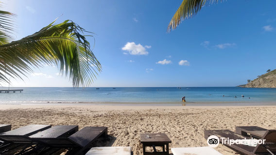 Crocus Bay Beach