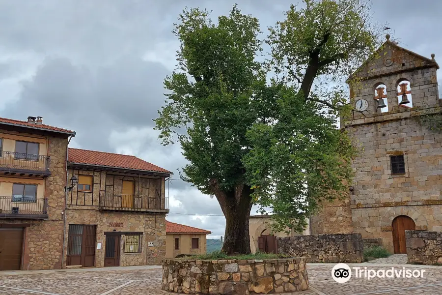 Ayuntamiento De Villanueva Del Conde