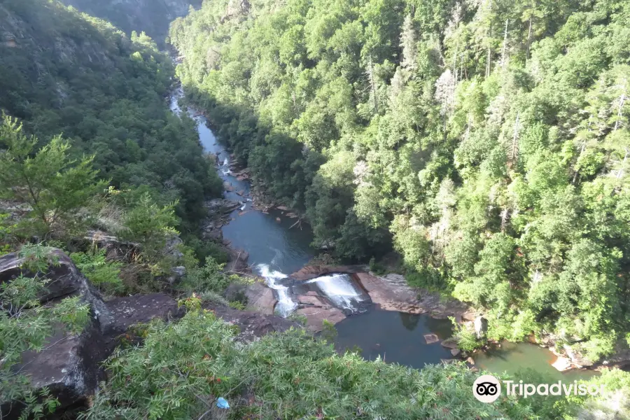 Bridal Veil Falls Track