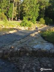 Boykin Springs at Angelina National Forest