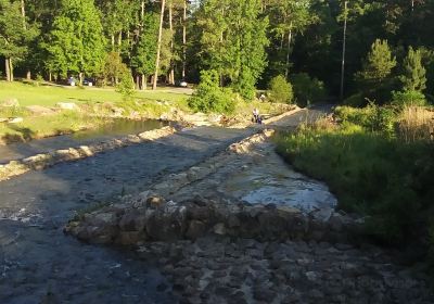 Boykin Springs at Angelina National Forest