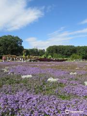 Le Parc du Bois-de-Coulonge