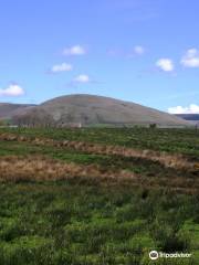 Beacon Fell Country Park