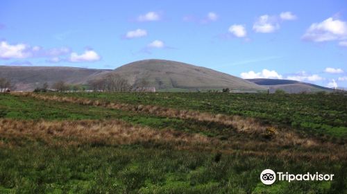 Beacon Fell Country Park