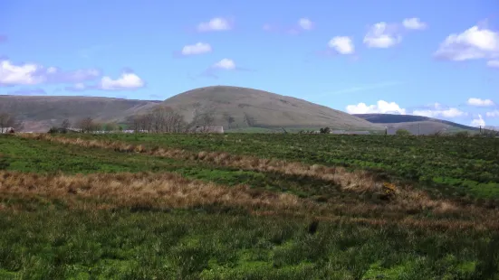 Beacon Fell Country Park