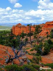 Red Canyon Trails Powell Ranger District Dixie National Forest