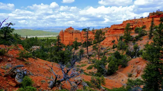 Red Canyon Trails Powell Ranger District Dixie National Forest