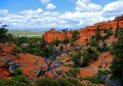 Red Canyon Trails Powell Ranger District Dixie National Forest