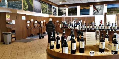 Cantina Clavesana