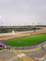 King Abdulaziz Equestrian Field