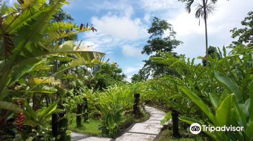 Duta Orchid Garden