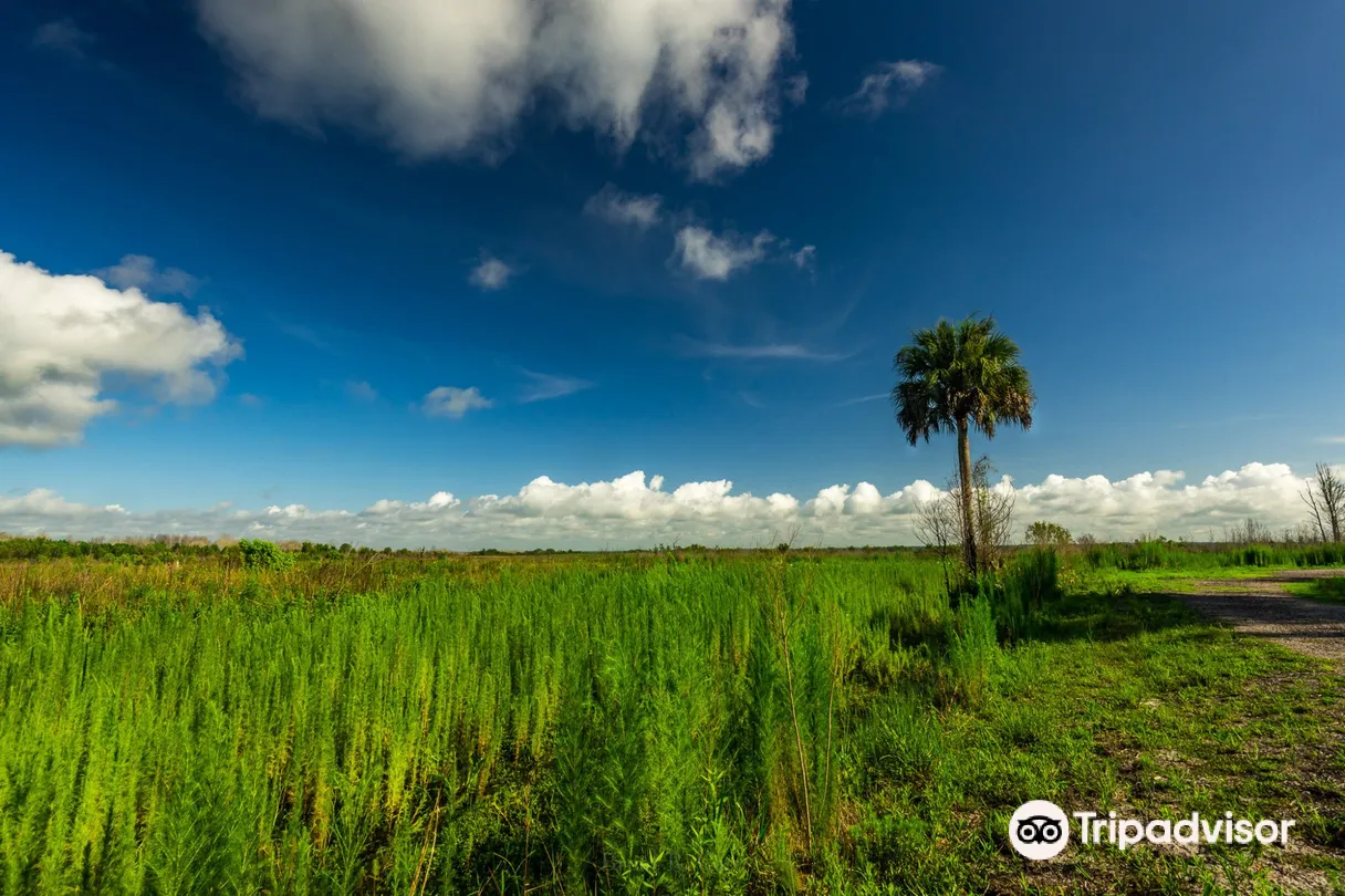 5_Paynes Prairie Preserve State Park