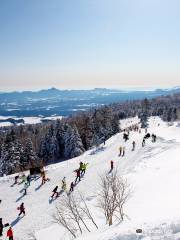 パルコール嬬恋リゾート スキー＆ホテル (PalCall Tsumagoi Ski Resort)