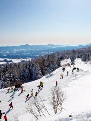 Palcall Tsumagoi Resort Hotel & Ski area