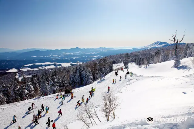 Skiing in Gunma