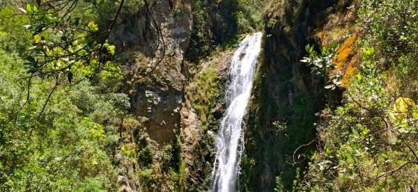 Gastfamilien in La Vega, Dominikanische Republik