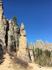 Needles Highway