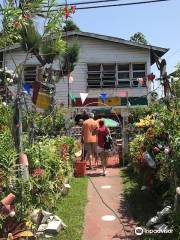 Roy Geddes Steel Pan Museum