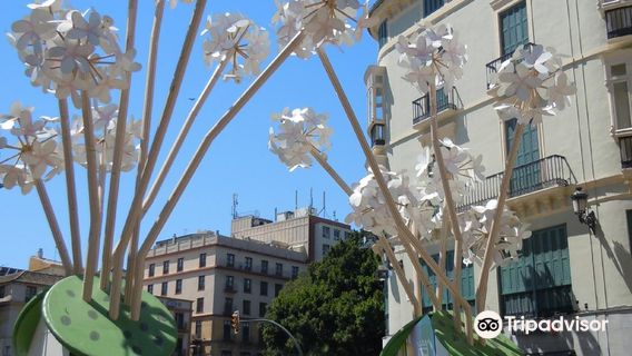 Malaga