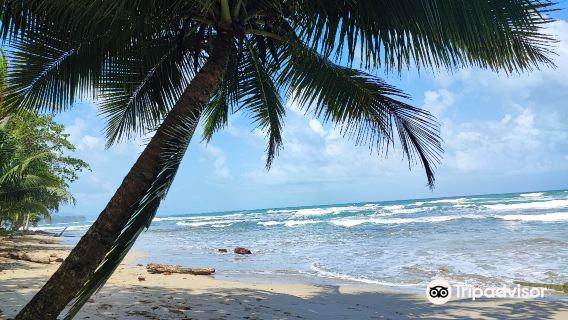 Playa Cocles