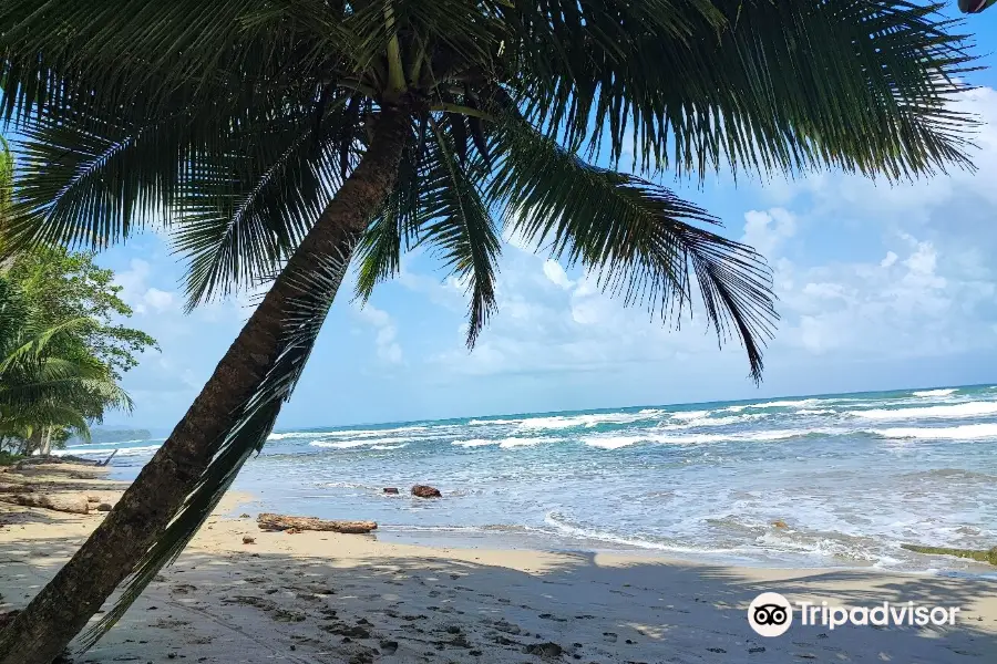 Playa Cocles