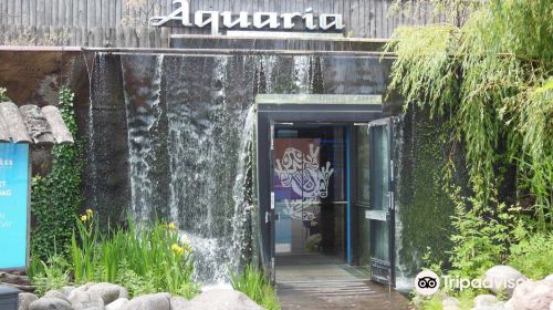 Aquaria Water Museum