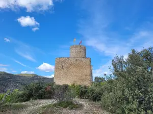Castle of Mur
