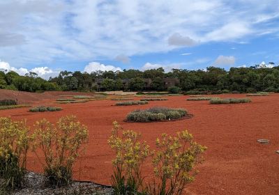 Australian Garden