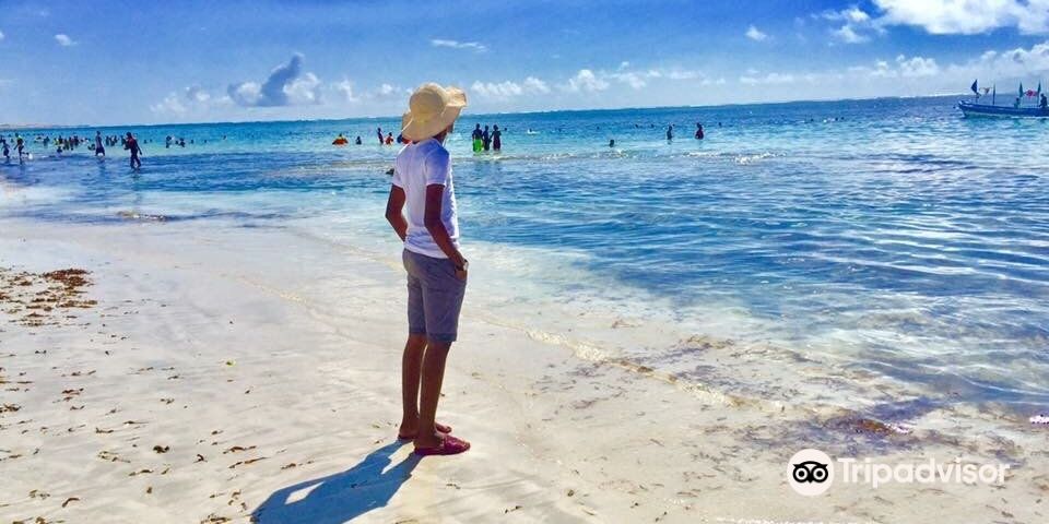 travel