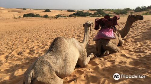 Lompoul Desert