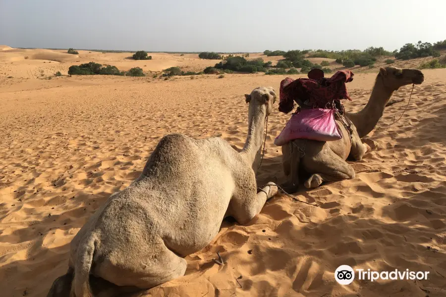 Lompoul Desert