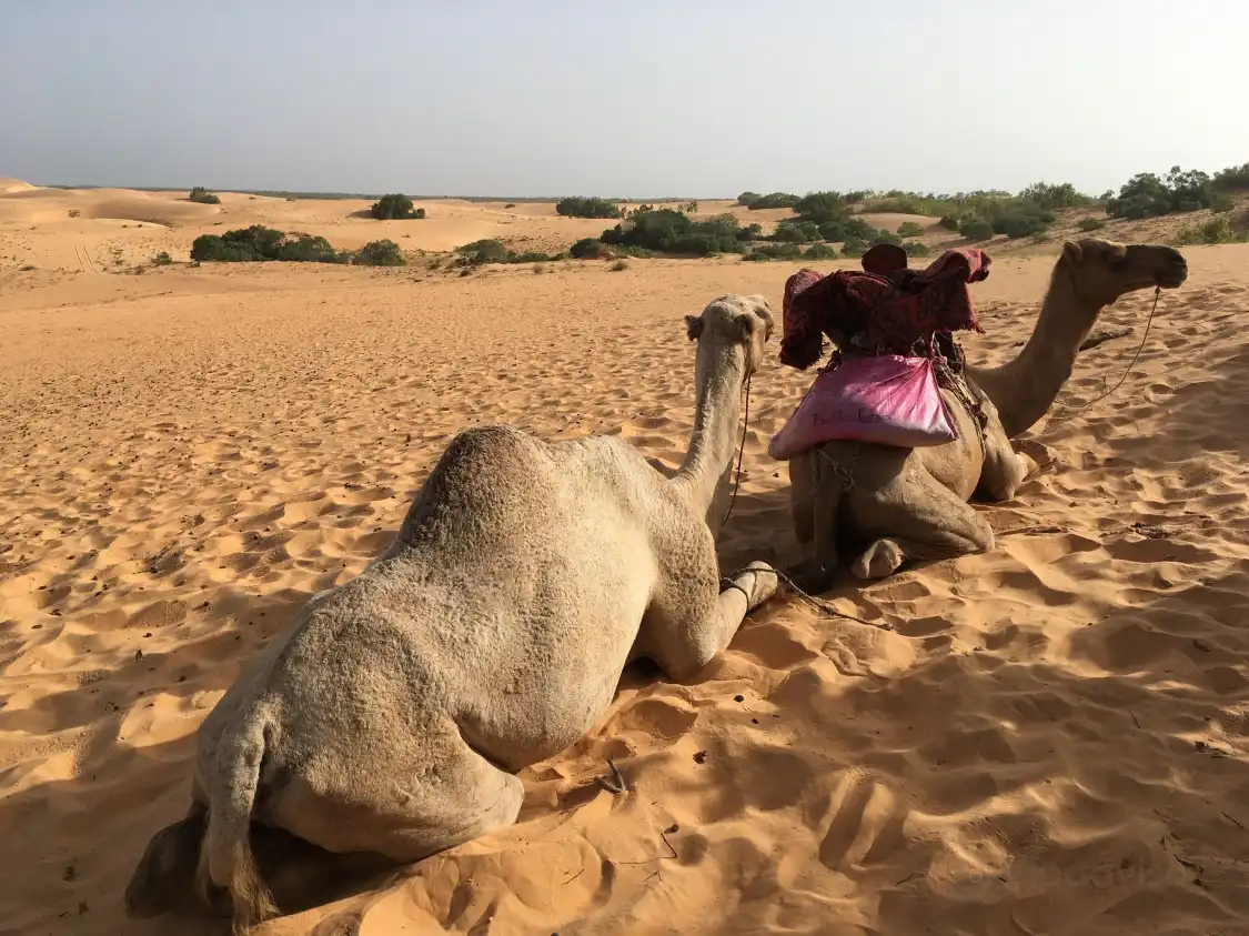Hotels near Lompoul Desert